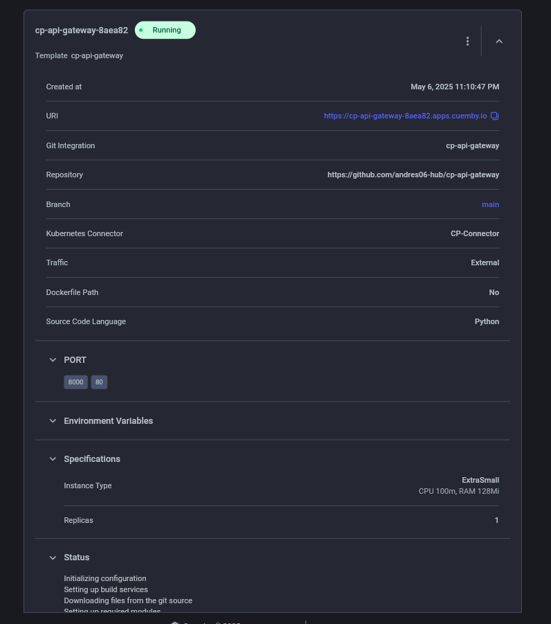 details runtime api-gateway